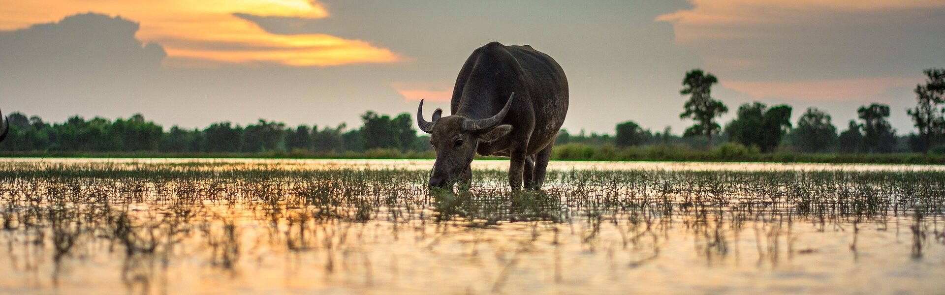 Mekong River sunset in Pakse on a scenic Pakse Travel banner by Legend Travel Group.